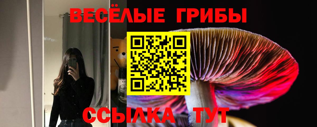 Псилоцибиновые грибы Cubensis Железногорск